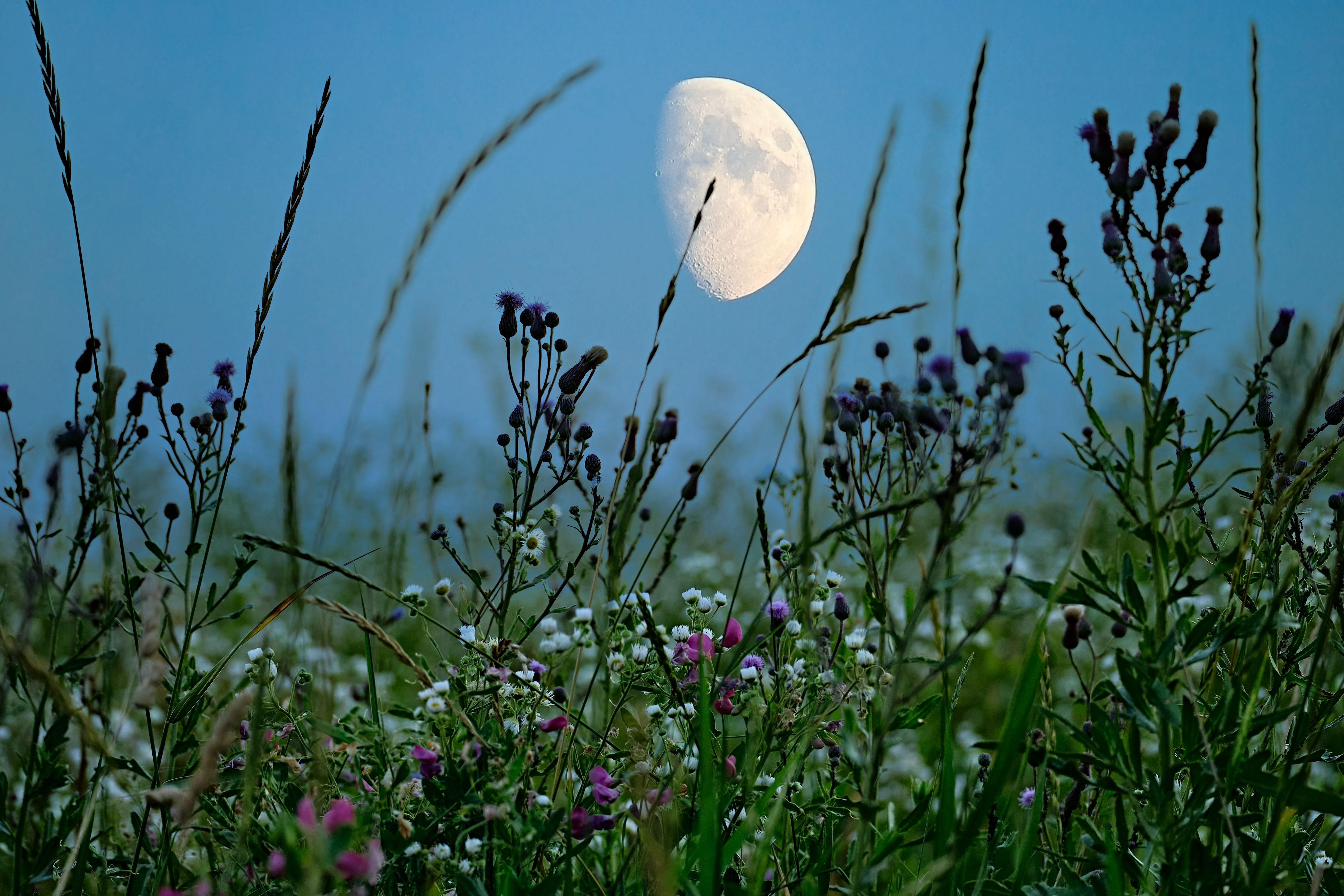 ������&nbsp; ��������� ��������-���������� �� ���� 2026 ����. ������������� ��� ��� �������� �����, ��� ����� � ������ ������