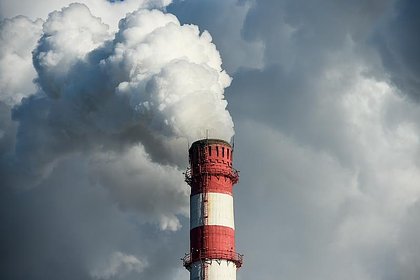 Россияне назвали главные проблемы экологии