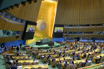 Россия получила место в одном из ключевых органов ООН