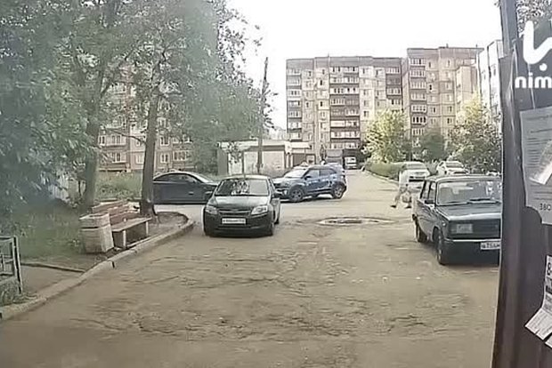 Вводная картинка