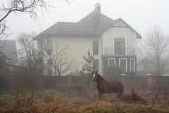 news_image