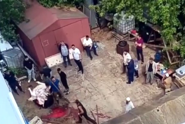 Вводная картинка