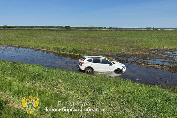 Вводная картинка