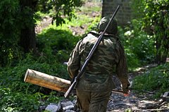 news_image