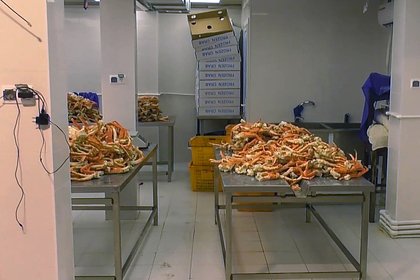 Суд взыскал с сына «крабового короля» сотни миллиардов рублей