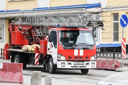 Сотрудники МЧС в Москве спасли из пожара десятки человек