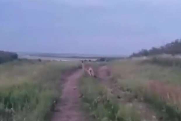 Вводная картинка