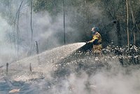 Россиян предупредили о высочайшей пожарной угрозе в ряде регионов 