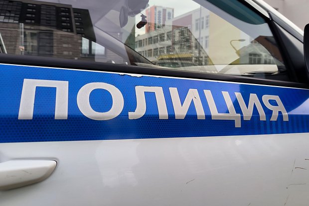 Вводная картинка