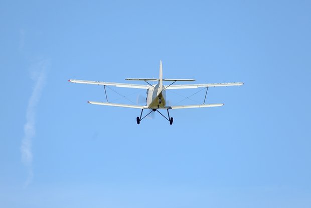 Вводная картинка