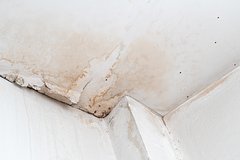 Архивное фото