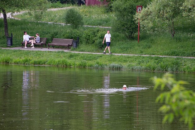 Вводная картинка