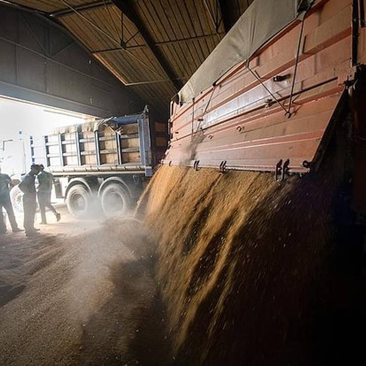 В российском регионе объявили природную ЧС