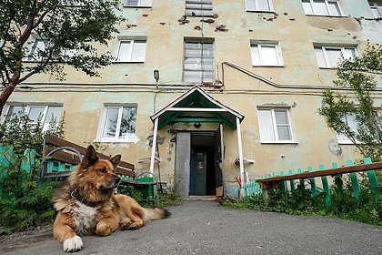 Россиянка пожила за границей и описала порядки на родине словами «противно вспоминать»