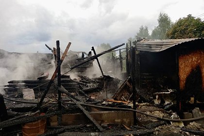 В Сети появились кадры с места гибели пятерых детей во время пожара