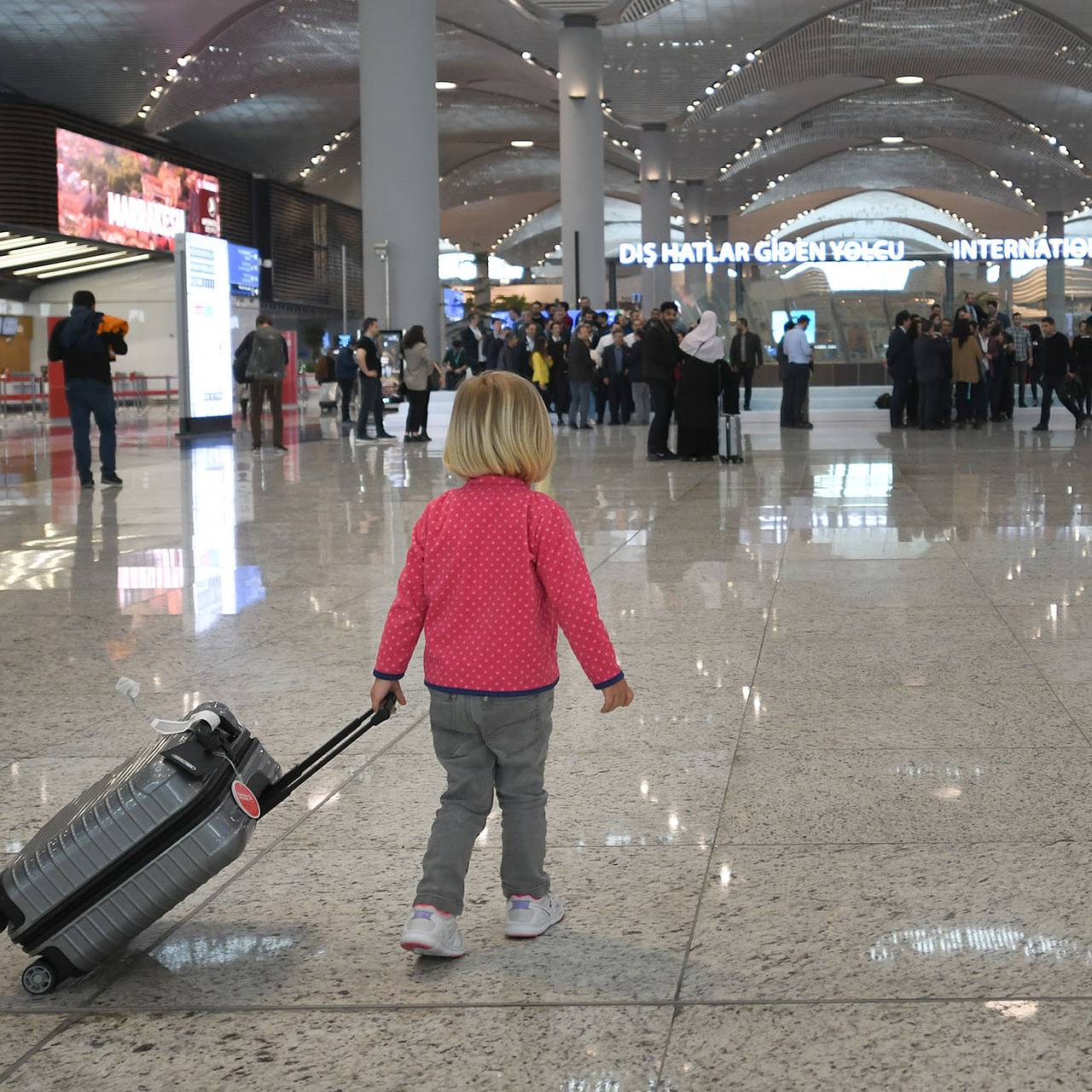 В России обещали выяснить причины проблем с багажом на рейсах Turkish Airlines