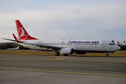 Во Внуково назвали причину задержки багажа туристов Turkish Airlines