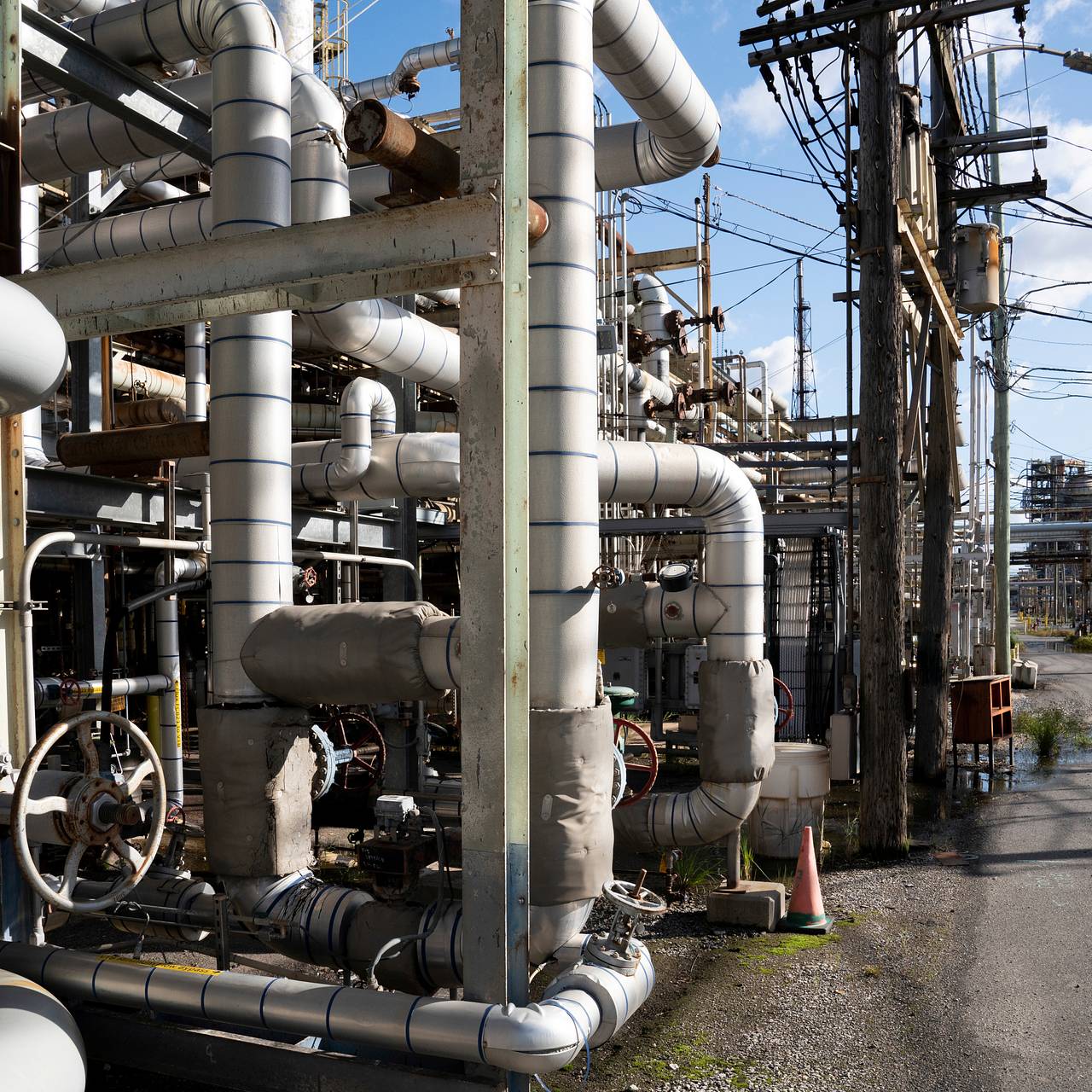 Фото: Dane Rhys / Reuters