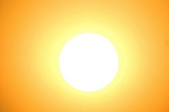 news_image 