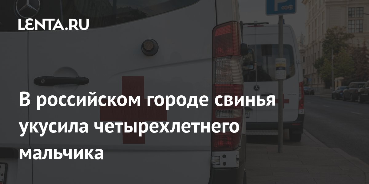В российском городе свинья укусила четырехлетнего мальчика