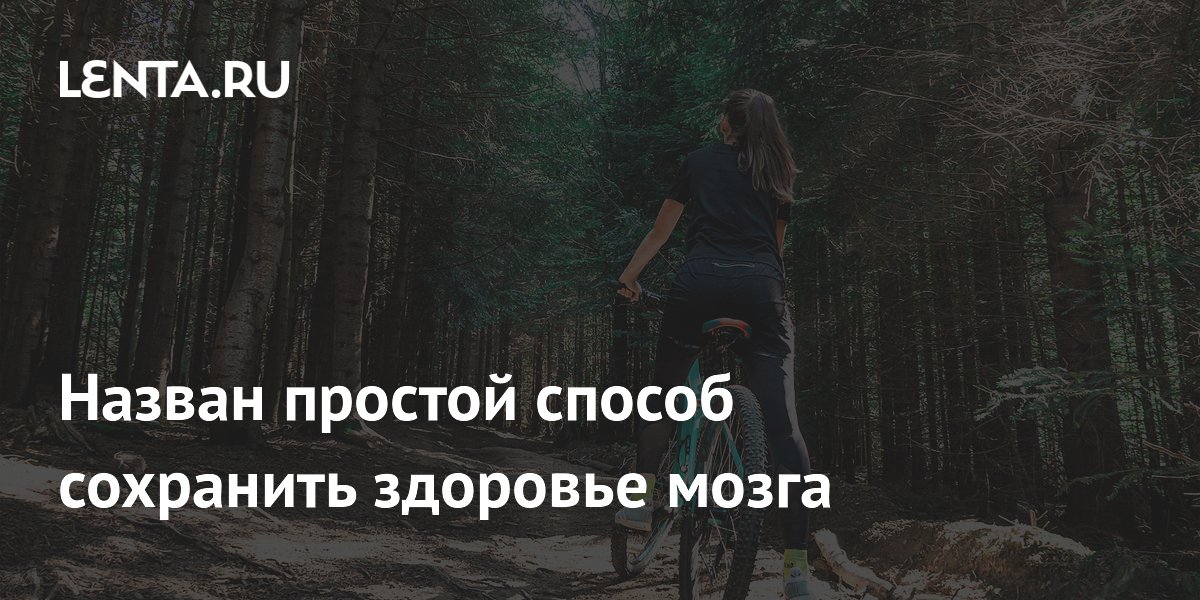 Велосипед – ключ к здоровому мозгу: Новое исследование о профилактике деменции и болезни Альцгеймера