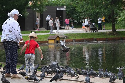 Ряд российских регионов предупредили о похолодании