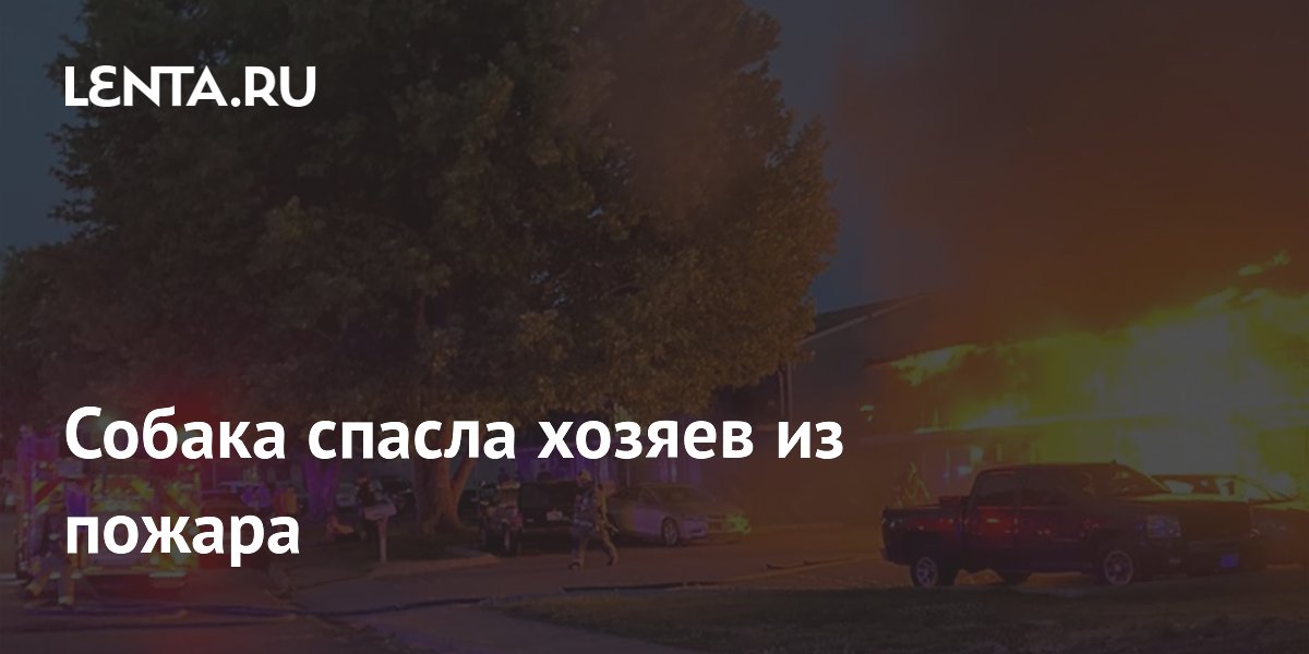 Собака спасла хозяев из пожара