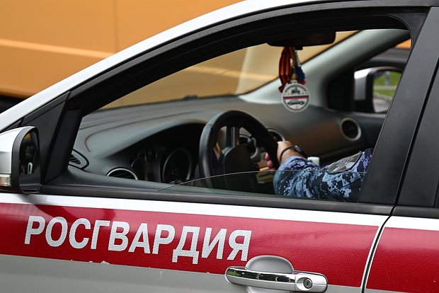 Вводная картинка