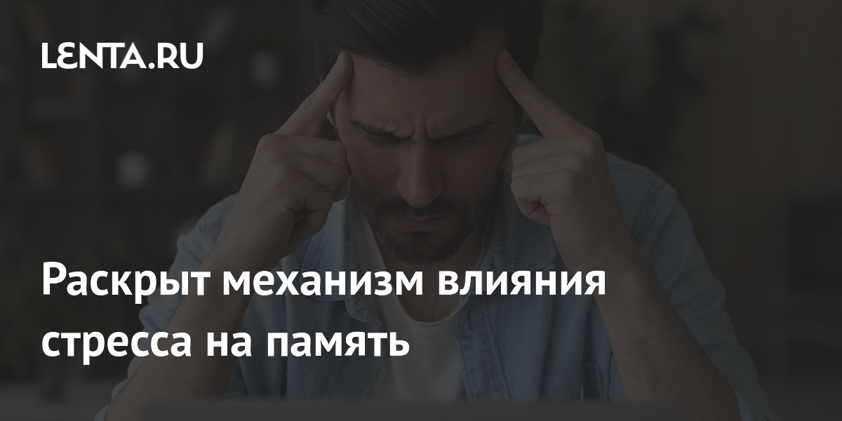 Раскрыт механизм влияния стресса на память