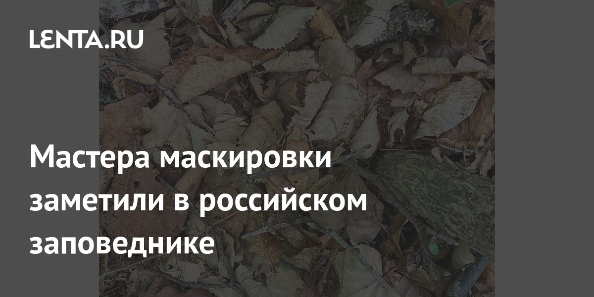 Мастера маскировки заметили в российском заповеднике