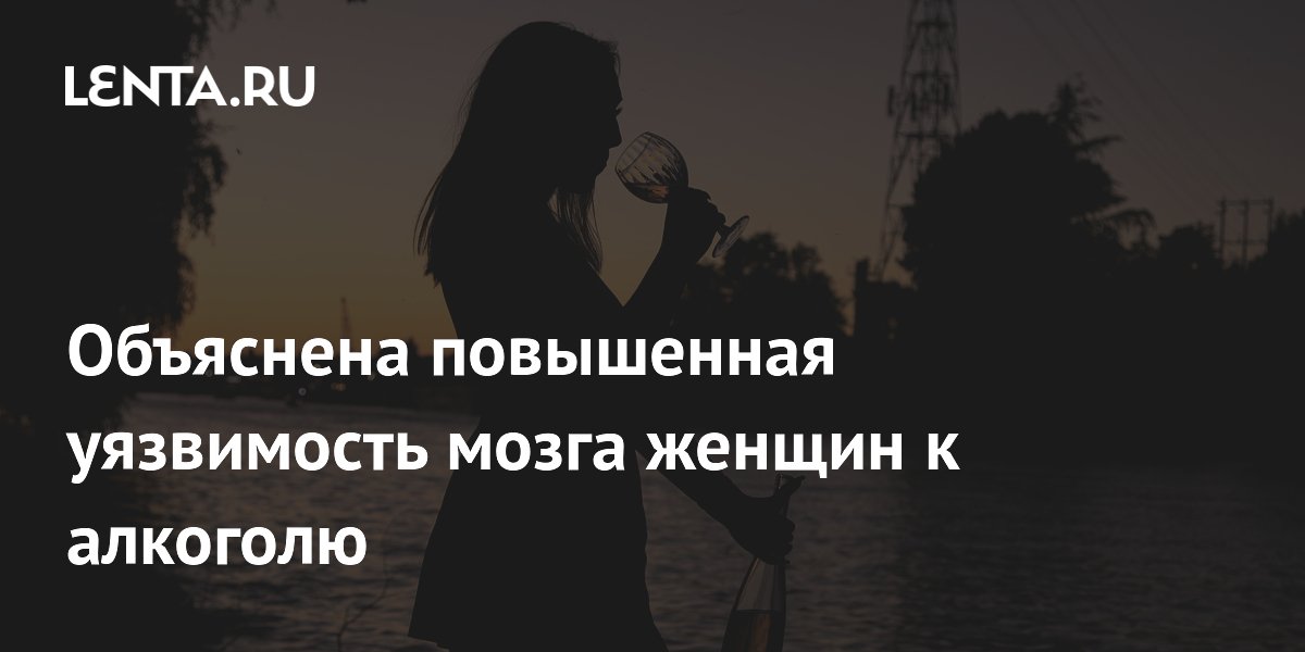 Объяснена повышенная уязвимость мозга женщин к алкоголю