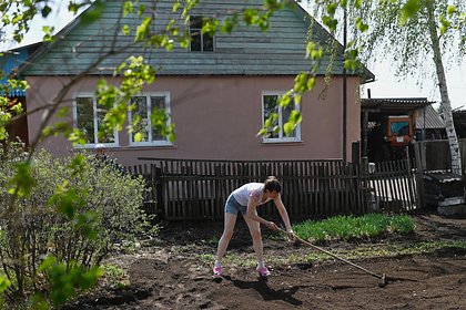 Россиян призвали залить грядки молоком с йодом