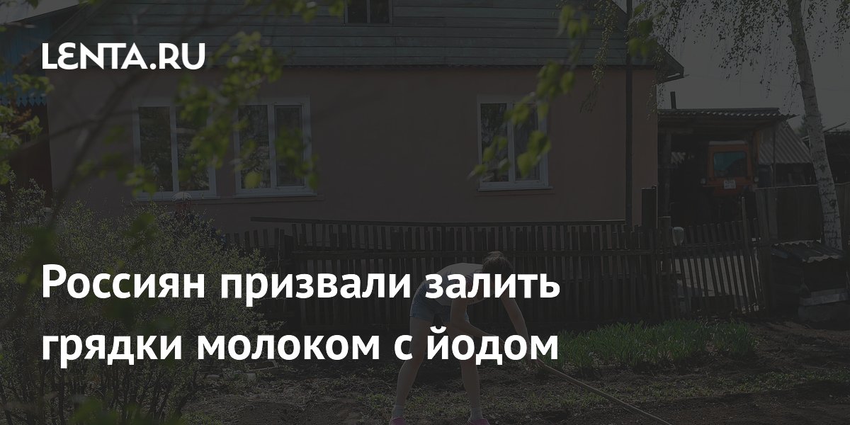 Россиян призвали залить грядки молоком с йодом