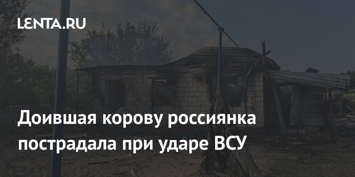 Доившая корову россиянка пострадала при ударе ВСУ