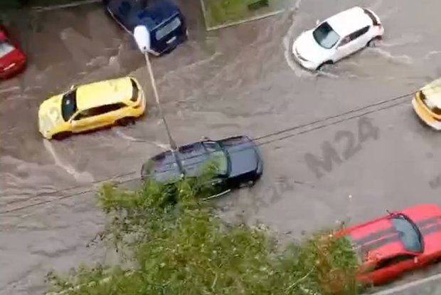 Вводная картинка