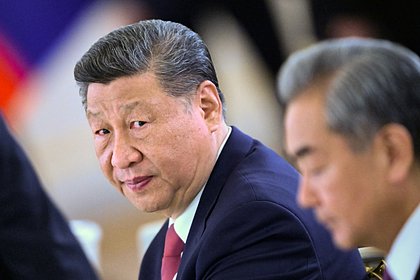 Си Цзиньпин призвал человечество не жить по «закону джунглей»
