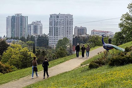 Названа цена самой дешевой квартиры в Сочи