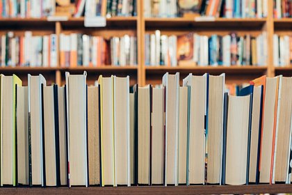 В закупку на 414 тысяч рублей для депутатов Думы попали книги о русофобии и ядерных бомбах