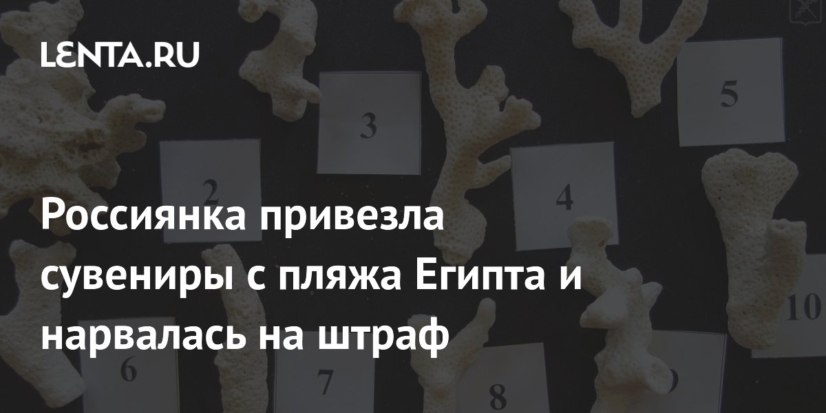 Россиянка привезла сувениры с пляжа Египта и нарвалась на штраф