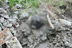 news_image