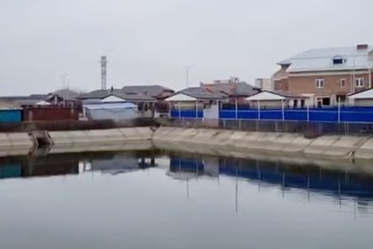 Прохожие в Краснодаре спасли тонувших в бассейне мальчиков с помощью собачьих поводков