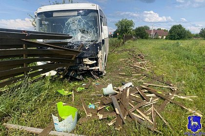 Автобус с россиянами попал в серьезное ДТП из-за насекомого