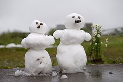 news_image 