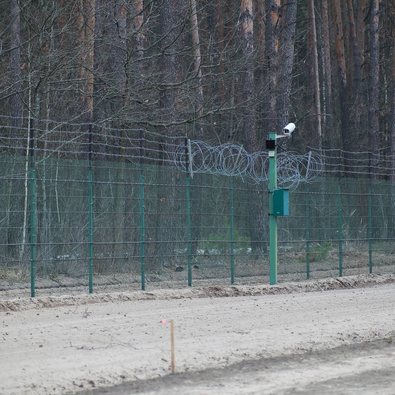 Фото: Petrov Sergey / Globallookpress.com