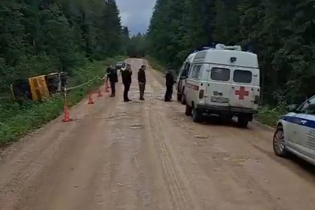 Вводная картинка