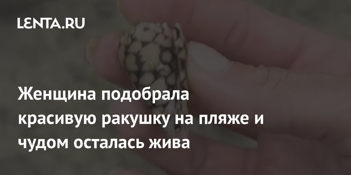 Женщина подобрала красивую ракушку на пляже и чудом осталась жива