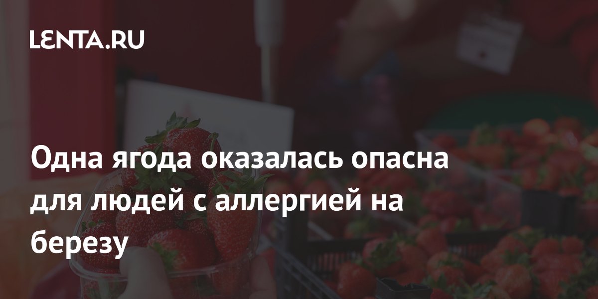 Одна ягода оказалась опасна для людей с аллергией на березу
