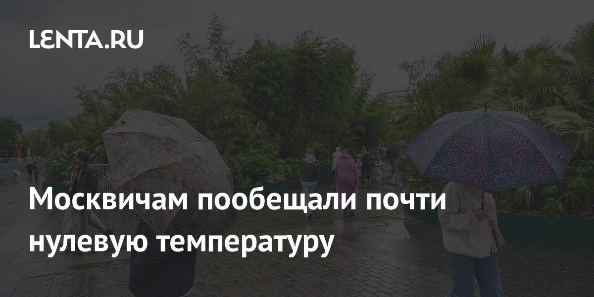 Москвичам пообещали почти нулевую температуру
