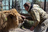 «Общался с хищниками как с маленькими детьми». На директора крымского парка «Тайган» напали его питомцы 