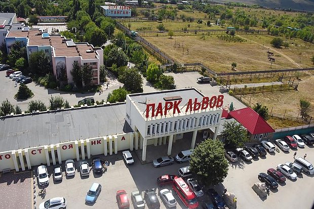 Вводная картинка